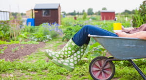 how to apply for an allotment hero